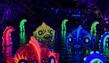 Austin's Creek Show unveils works for 2026 in new location
