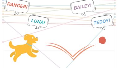 See Houston’s most popular dog names, from Luna to Cookie