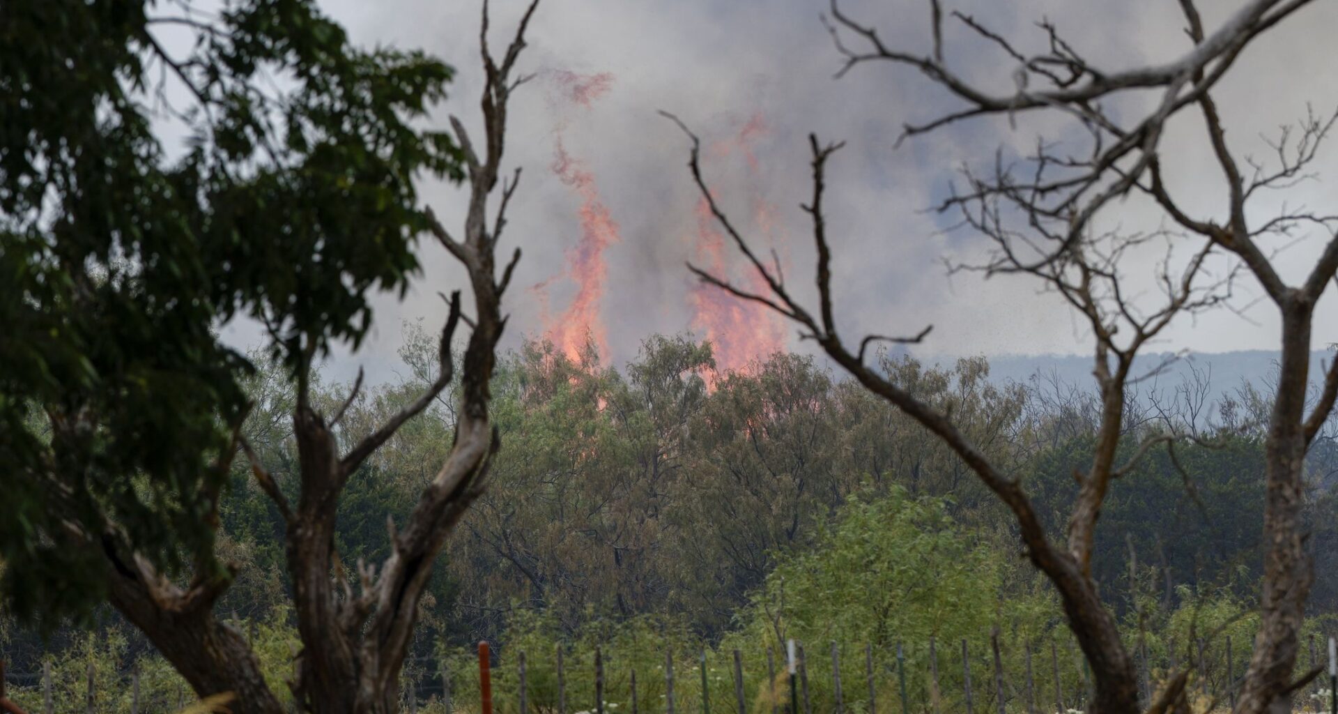 Flames from the Ross fire shoot into the air, Wednesday, Aug. 26, 2026, near Palo Pinto, Texas.