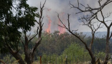 Flames from the Ross fire shoot into the air, Wednesday, Aug. 26, 2026, near Palo Pinto, Texas.