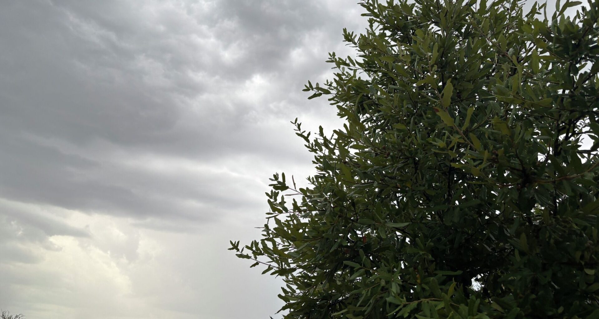 Heavy downpours, storms possible in San Antonio today