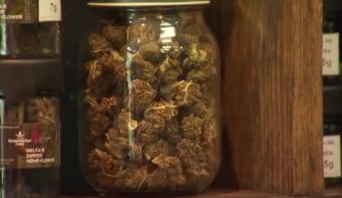 Texas judge could soon allow hemp businesses to sell THC products again
