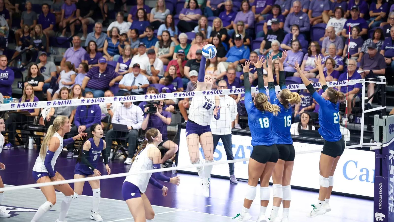 Cats Start 2026 Campaign with Season-Opening Sweep