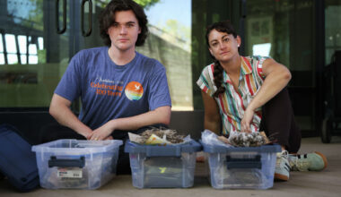North Texas bird nests reveal plastic waste spreading