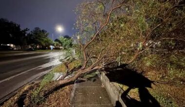 San Antonio storm photos: Readers share widespread damage