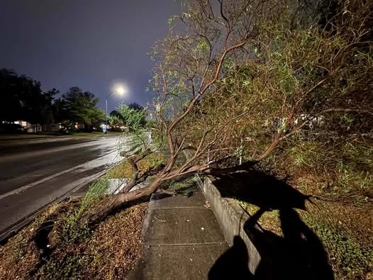 San Antonio storm photos: Readers share widespread damage