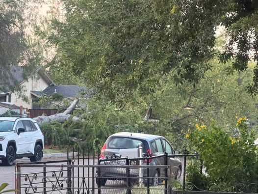 What we know about the powerful storm that hit San Antonio