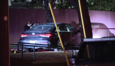 Dallas police investigate fatal shooting of driver after pedestrian struck
