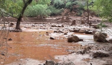Dozens evacuated from Grand Canyon after flash flood hits creek leading to the Colorado River