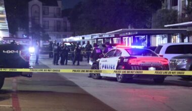 Dallas Shooting: 1 man killed at apartment complex, suspect arrested