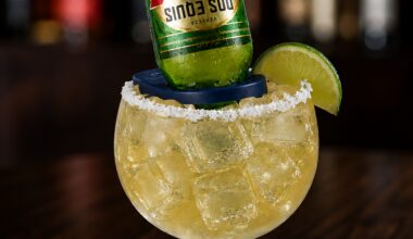 From the creators of the Dollarita, Applebee’s launches new margaritas