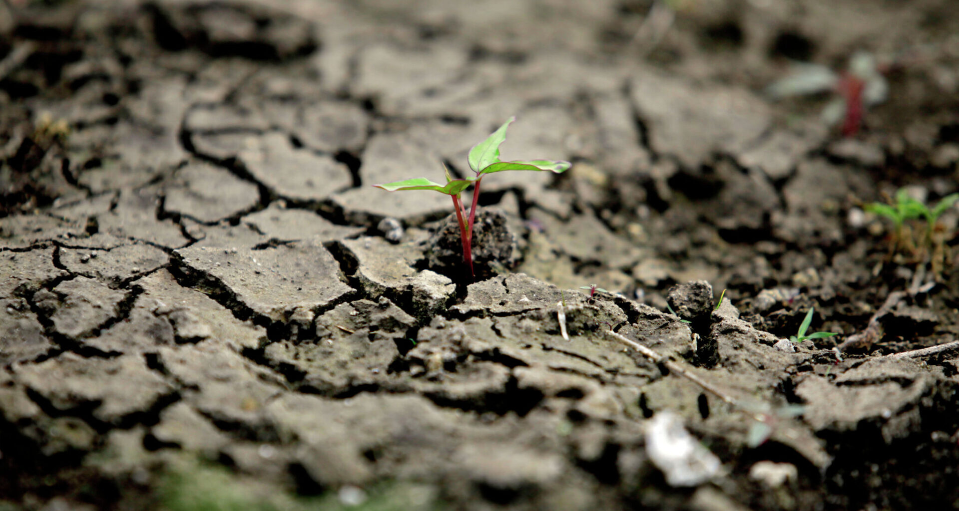 North Texas rain-free streak ranks in top 10 longest on record