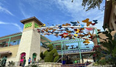 San Antonio Zoo plans $50M to $60M expansion across U.S. 281