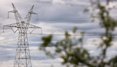 Texas lawmakers want to halt plan to build high-voltage transmission lines across the state