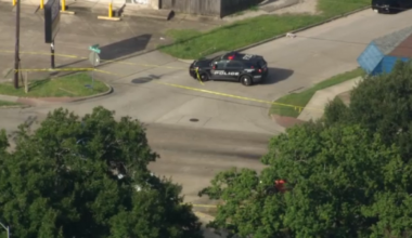 Pedestrian hit and killed on Moline Street at Telephone Road, HPD says