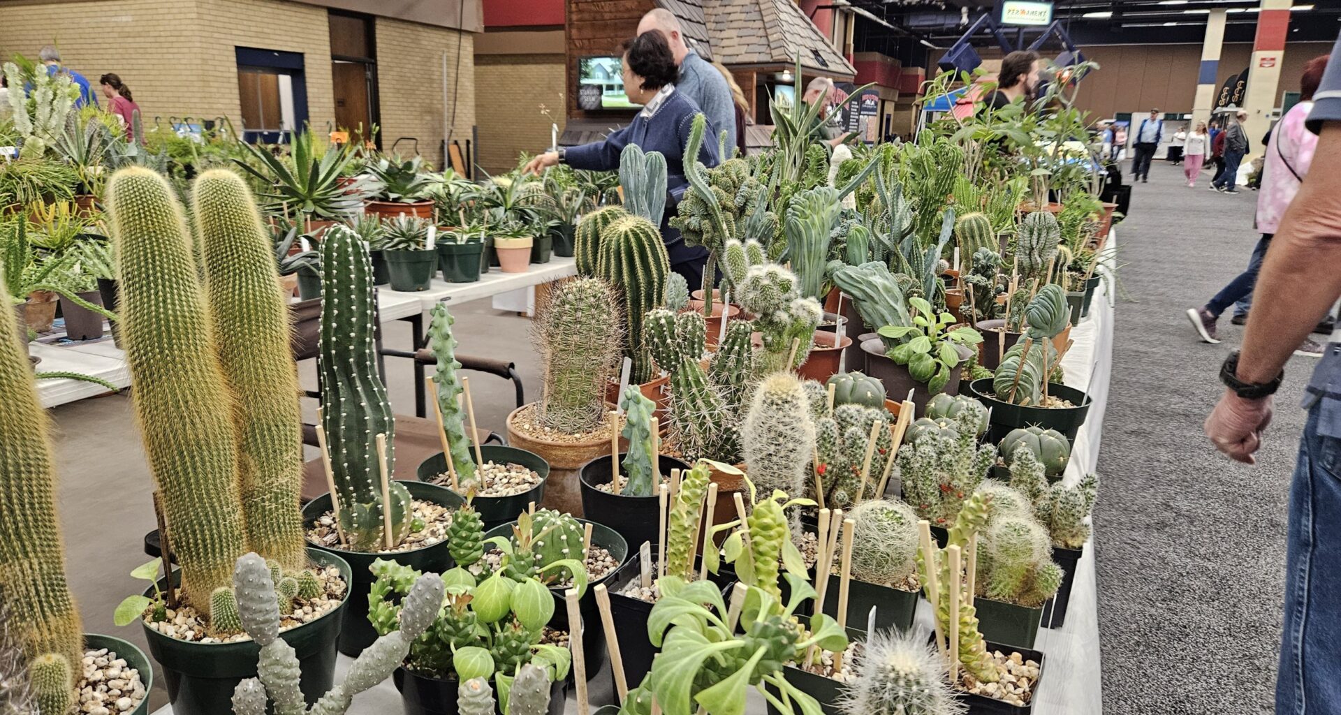 Weekend Worthy: Shop for your next houseplant at Fort Worth garden show