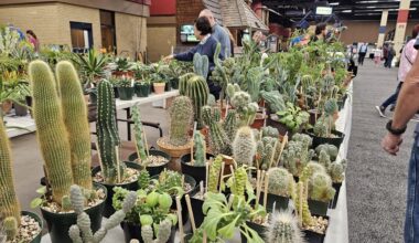 Weekend Worthy: Shop for your next houseplant at Fort Worth garden show