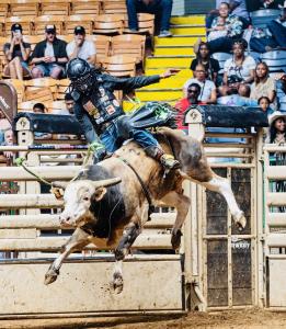 Fort Worth Bull Rider