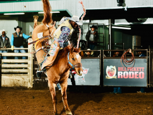 BPIR Fort Worth, TX Bronc Rider
