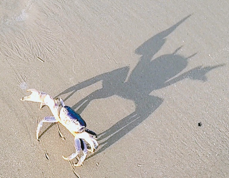Big shadow - Port Aransas South Jetty