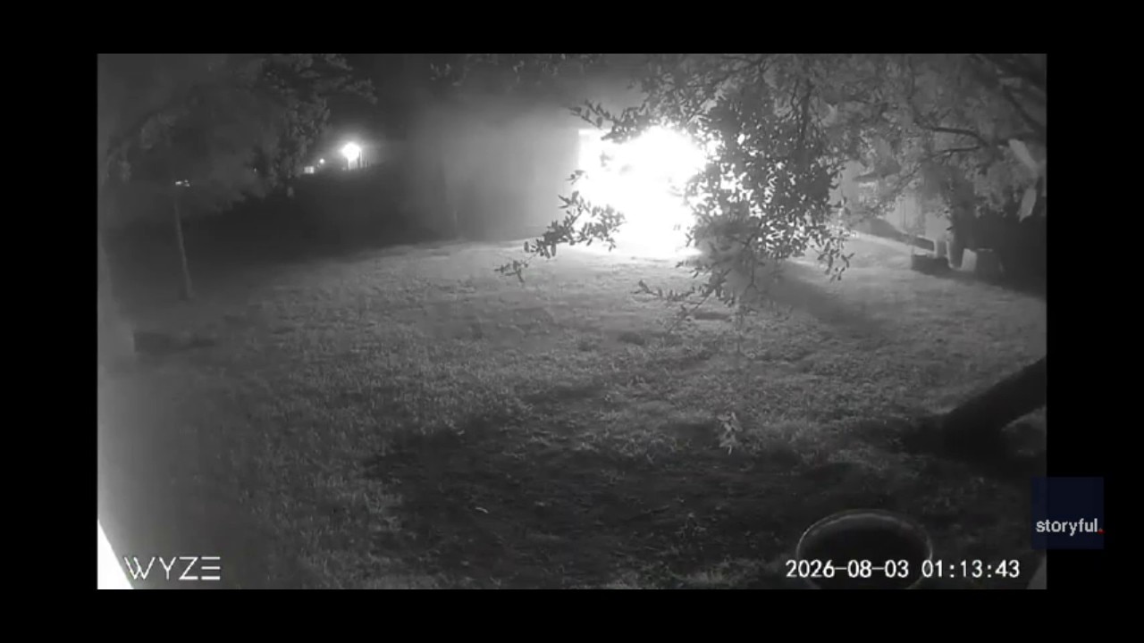 Honking for help: Texas goose saves family farm after barn catches fire