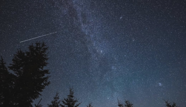 Summer’s best meteor shower peaks this week: Where to watch in East Texas