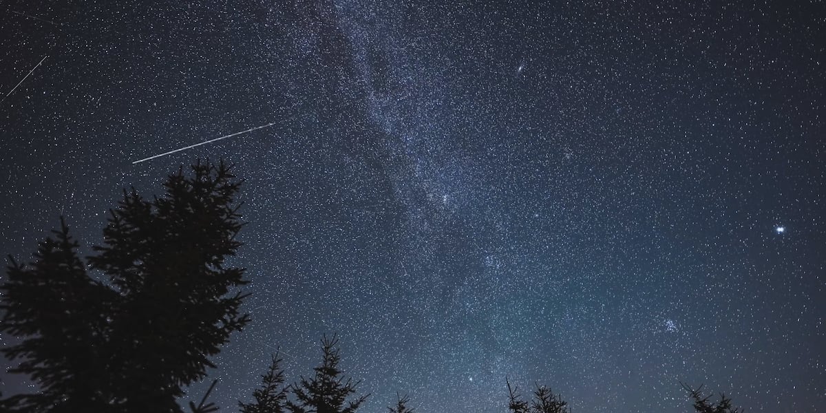 Summer’s best meteor shower peaks this week: Where to watch in East Texas