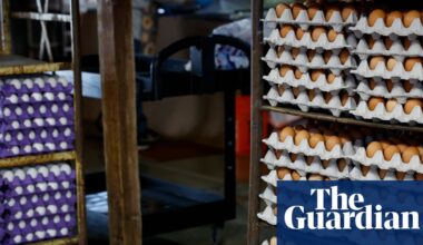 Massive egg recall in US south and south-west due to salmonella outbreak | US news