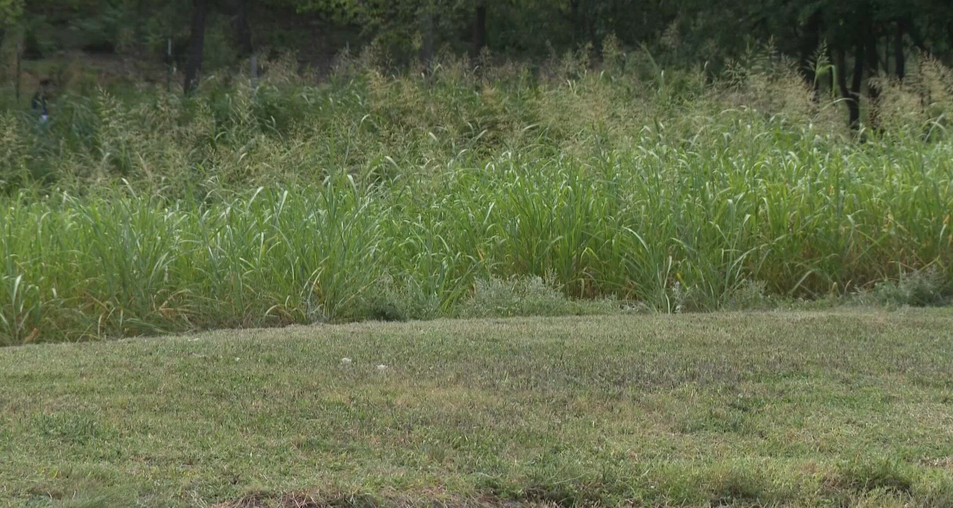 Neighbors push for changes after Aryana Martinez's death