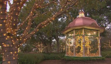 "12 Days of Christmas" display ending at Dallas Arboretum