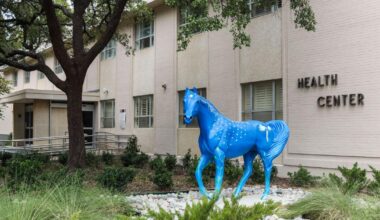 UTA health center provides free STI and HIV testing for students | Campus