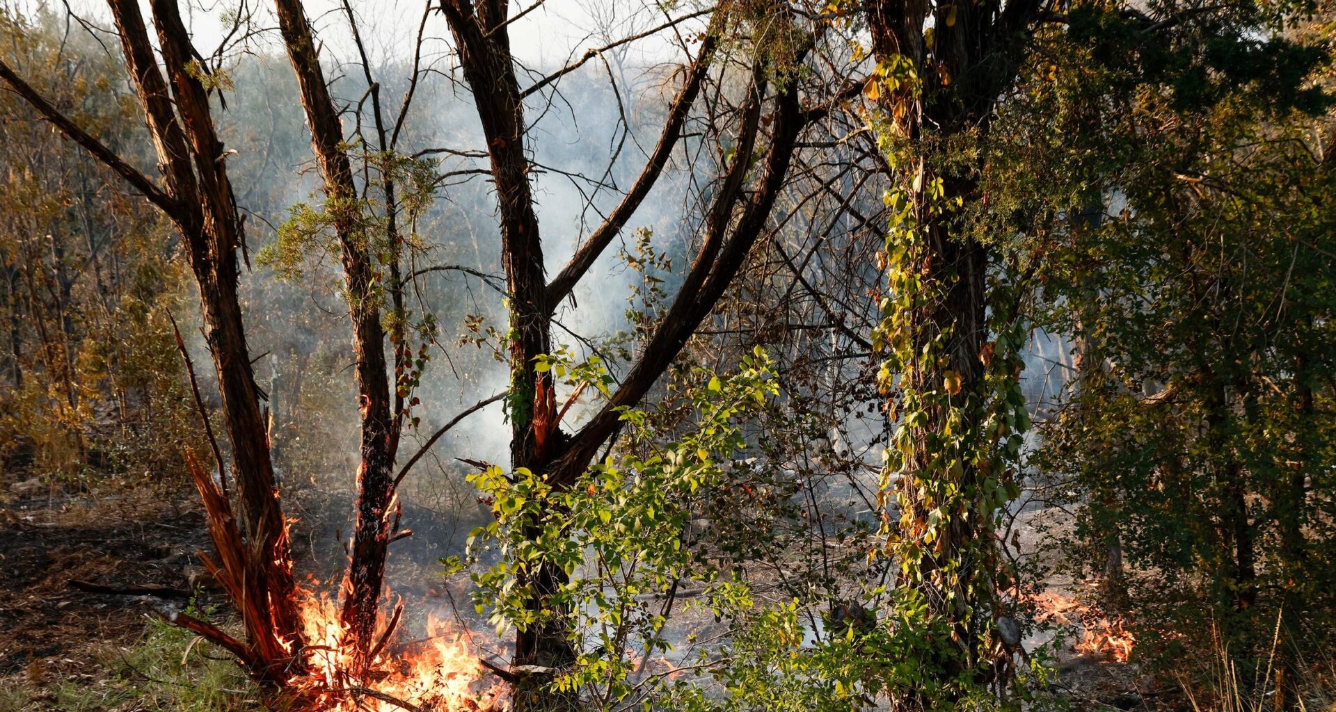 Texas' Ross fire burns 80,000 acres as containment reaches 12%, officials say