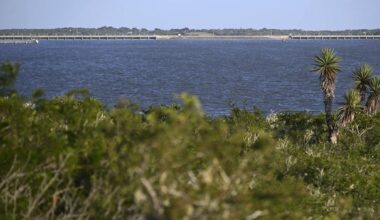 How Corpus Christi’s water emergency exposed flaws in Texas’ water planning | Beeville Bee-Picayune