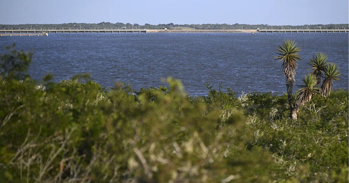 How Corpus Christi’s water emergency exposed flaws in Texas’ water planning | Beeville Bee-Picayune