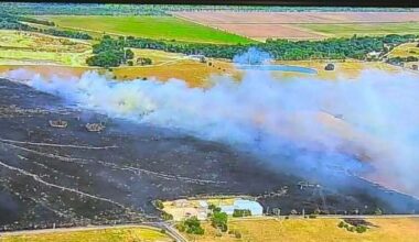 Dallas County grass fire burns 65 acres before crews contain it – NBC 5 Dallas-Fort Worth
