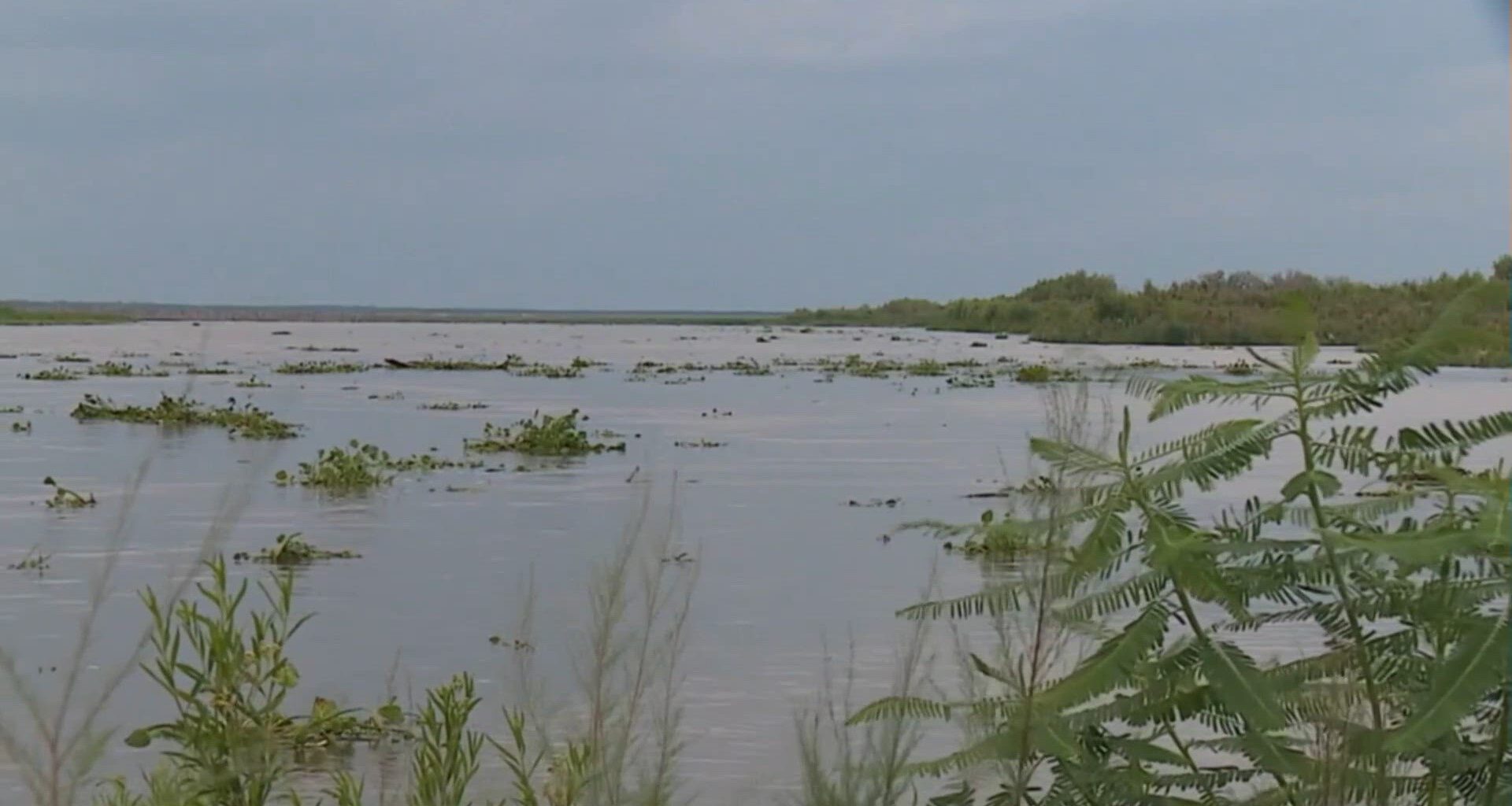 Floodwaters reach Lake Corpus Christi as levels continue to rise