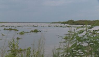 Floodwaters reach Lake Corpus Christi as levels continue to rise