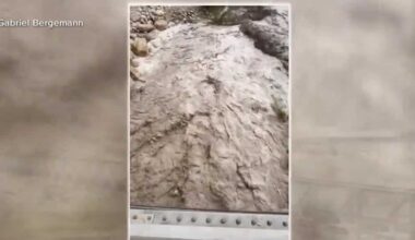 Grand Canyon flash flood kills Texas man, 14 missing