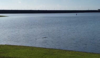 TCEQ could decide soon on request to pause water releases