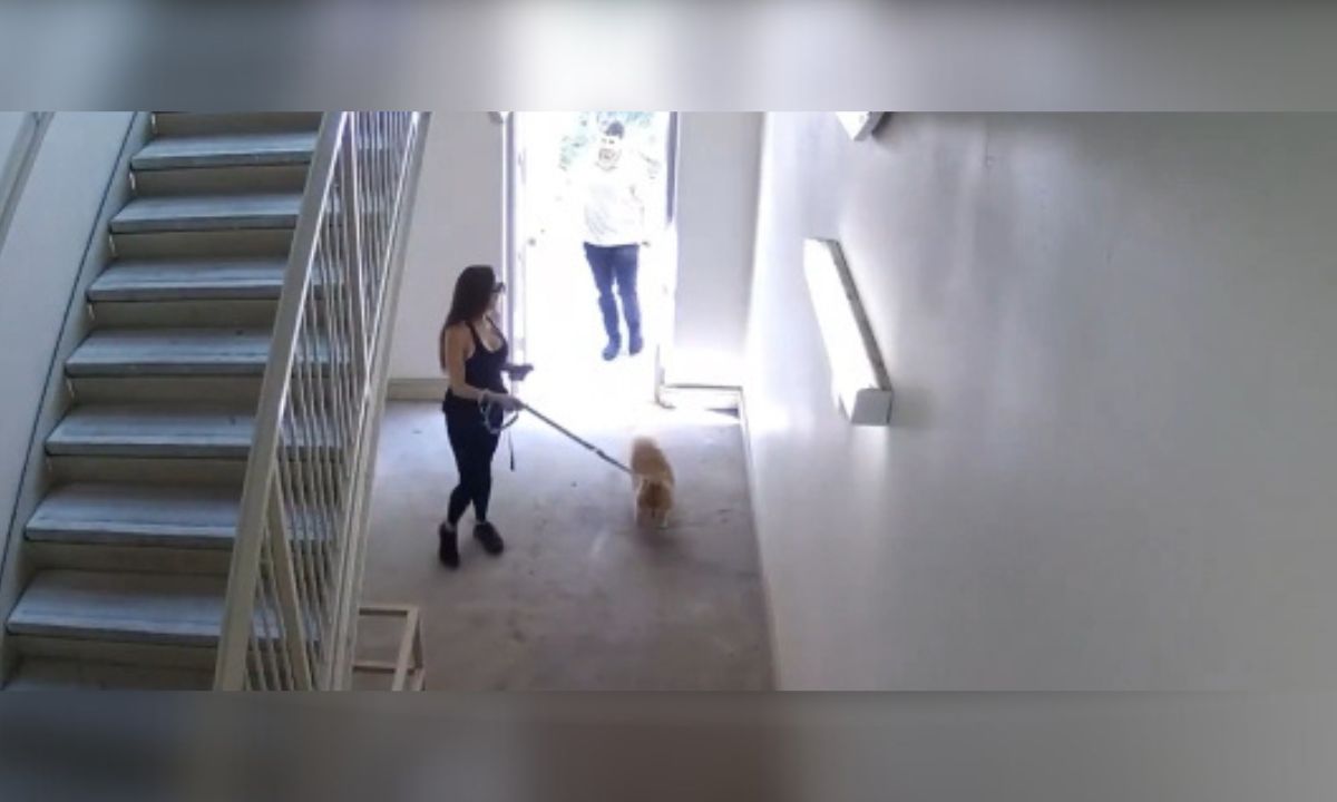 Morello Speaks After Plano Stalking Suspect Pleads Guilty