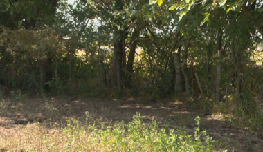 Body found after Love County grassfire identified as missing Dallas man, death ruled homicide