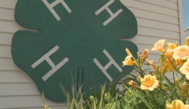 Annual Texas 4H event coming to Montague County