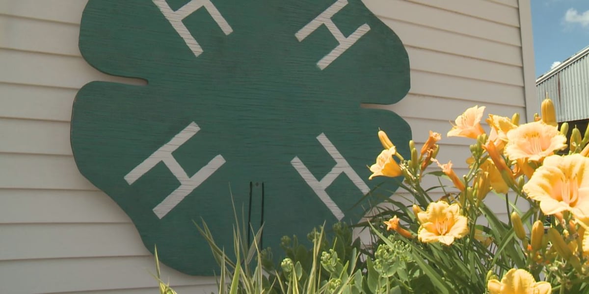 Annual Texas 4H event coming to Montague County