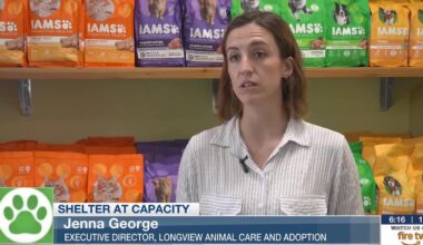 Clear the Shelters: East Texas animal shelters look to lessen intake