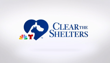Clear the Shelters at the Fort Worth Henry’s Animal Campus – NBC 5 Dallas-Fort Worth