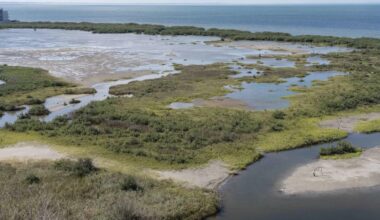 State, feds take big step toward starting massive Coastal Texas Project