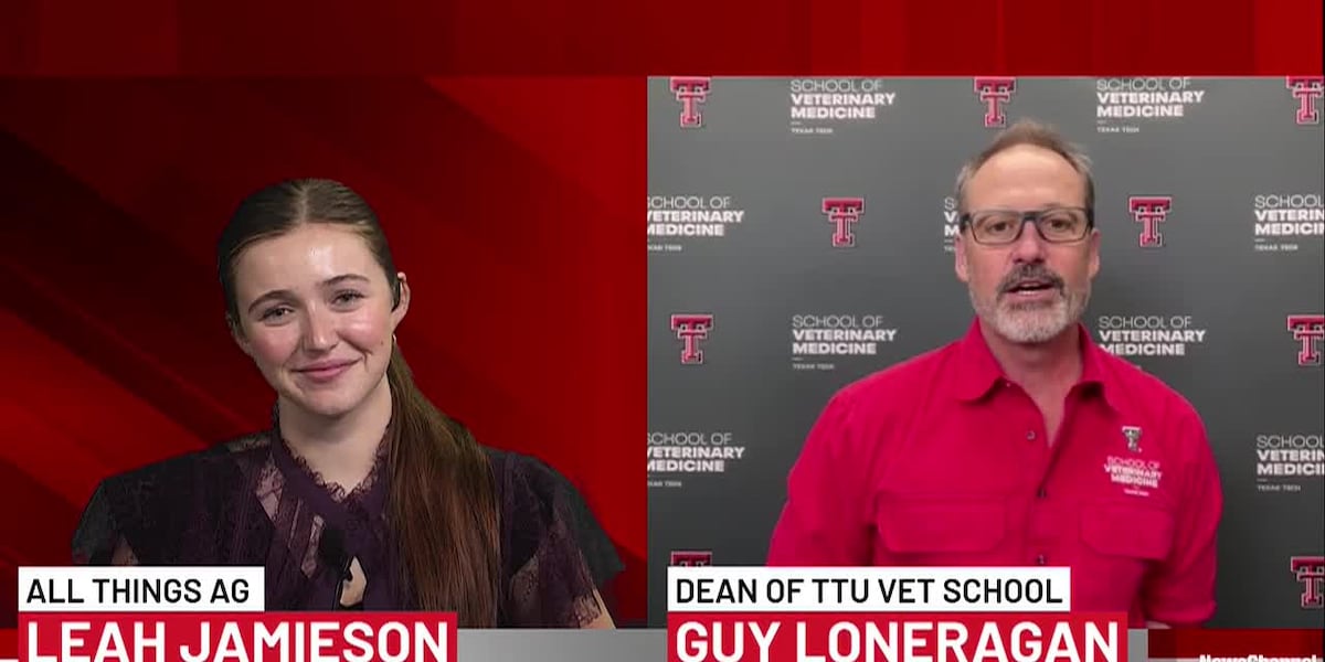 Texas Tech vet school eyes expanding specialty care in Amarillo