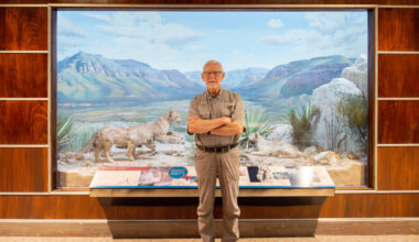 Historic wildlife dioramas of Dallas Museum of Natural History in Fair Park are back on view until at least Sept. 20