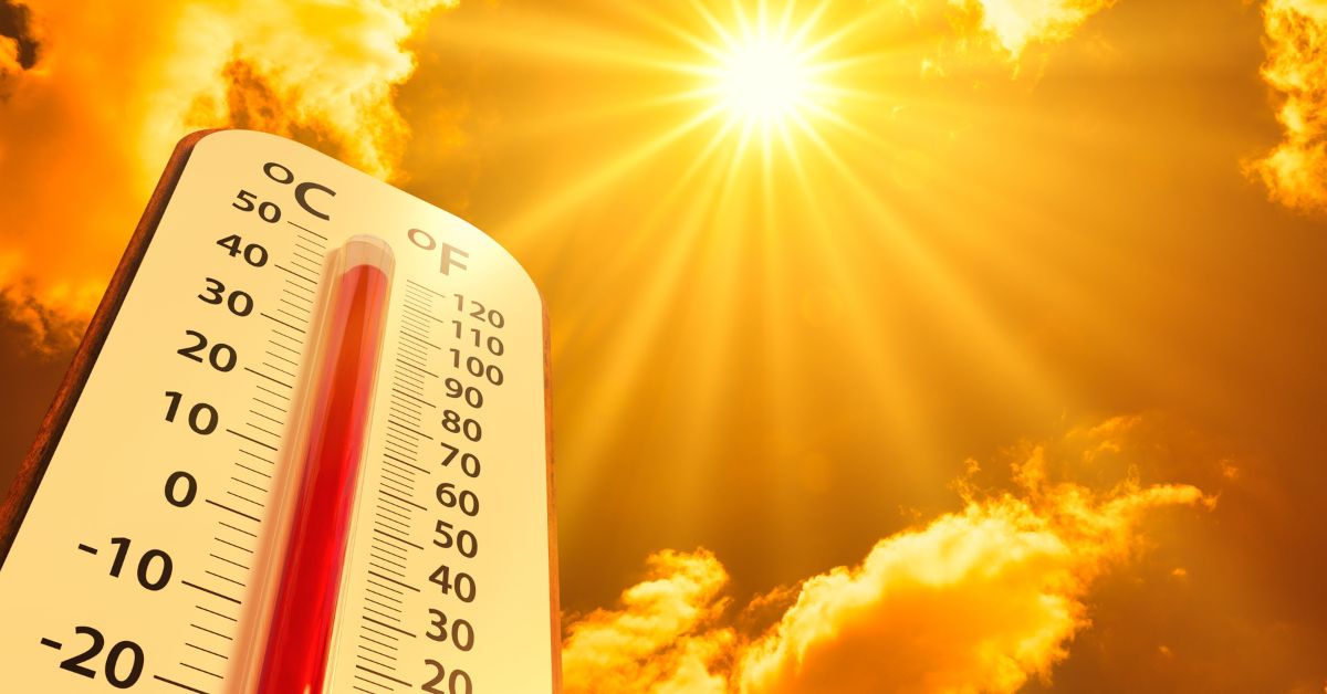 No Rain In Sight: DFW Faces 7 Straight Days Of 100-Degree Heat