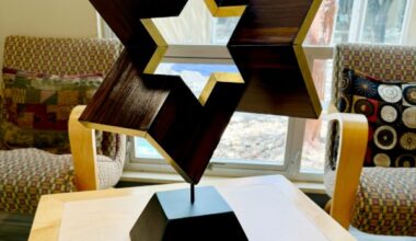 After a lifetime of healing, Dr. Lyone Hochman discovers the artist within